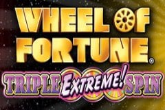 Wheel of fortune game 191731